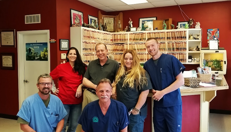 Best Vet