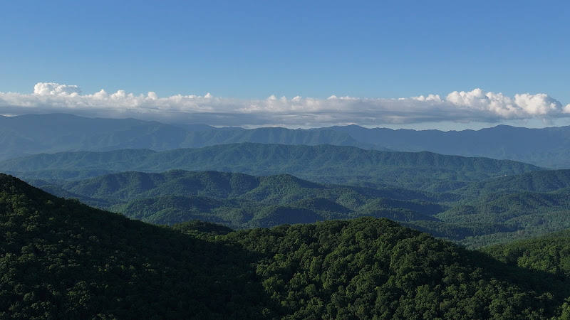 Austin Feeney Realty