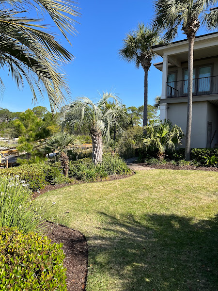 Panhandle Lawn Legends