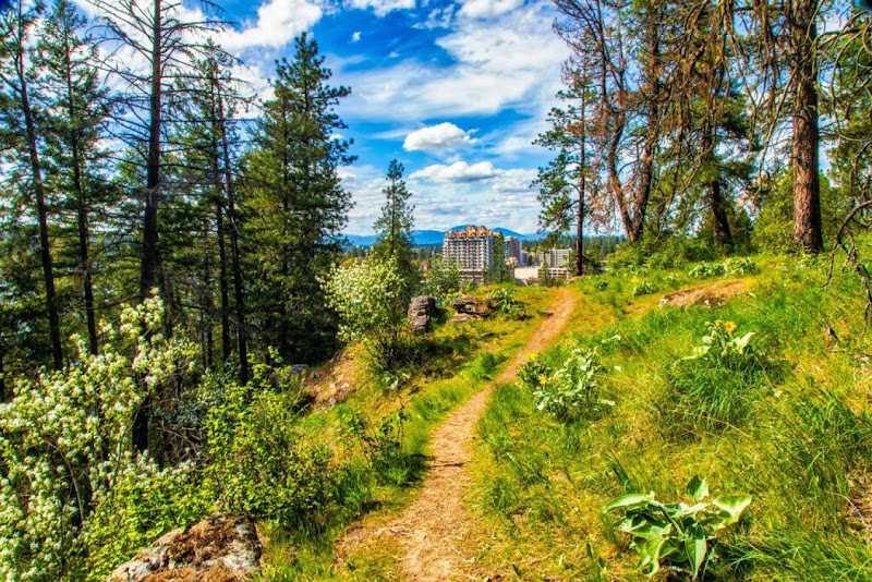 Cd'A Vacation Rentals - Vacation home rental agency in Coeur d'Alene