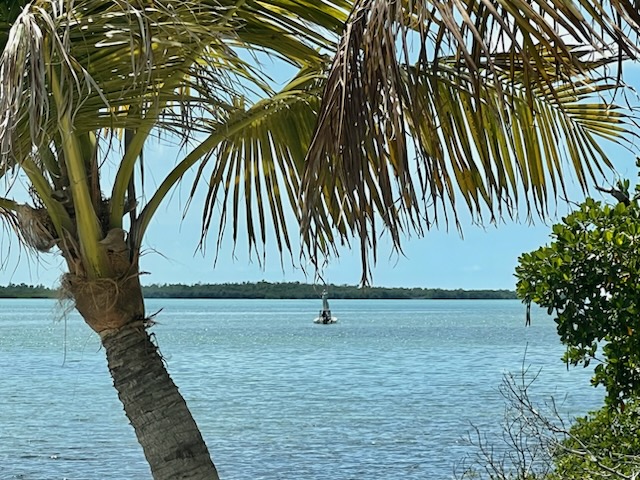 Historic Key West Annual Rentals