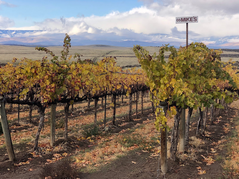 Eight Bells Winery - Winery in Seattle