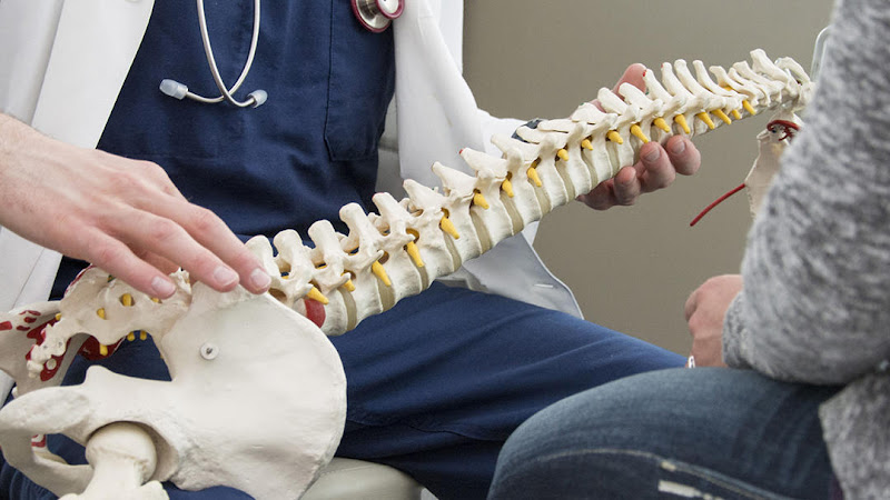 Indelicato Family Chiropractic - Chiropractor in Bradenton
