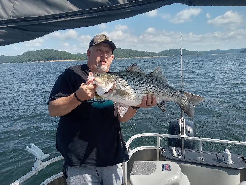 Bob's Guide Services
