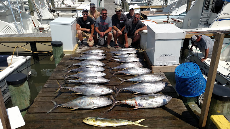 Fin Chaser Sportfishing Charters