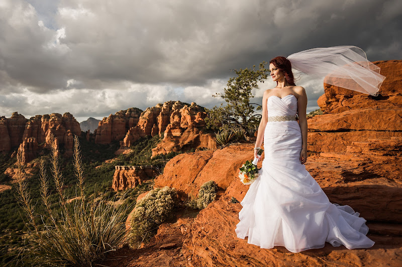 Andrew Holman Photography