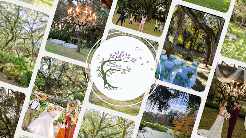 Under the Oaks Wellness and Events - Event venue in Tampa