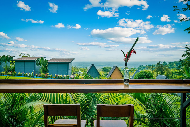 Junglo Resort & Spa
