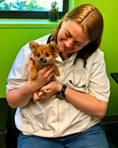 Pet Community Center