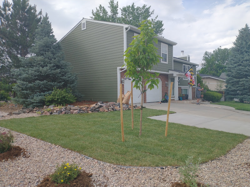 Hector’s Landscaping and Construction