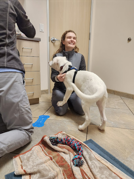 CoastView Veterinary Hospital