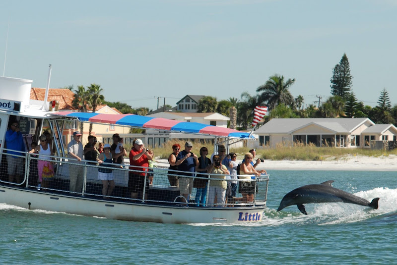 Little Toot Dolphin Adventure - #1 Dolphin Tour in the USA!