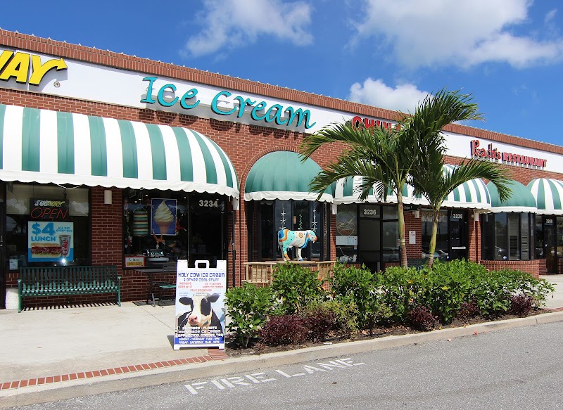 Holy Cow Ice Cream & Other Cool Stuff