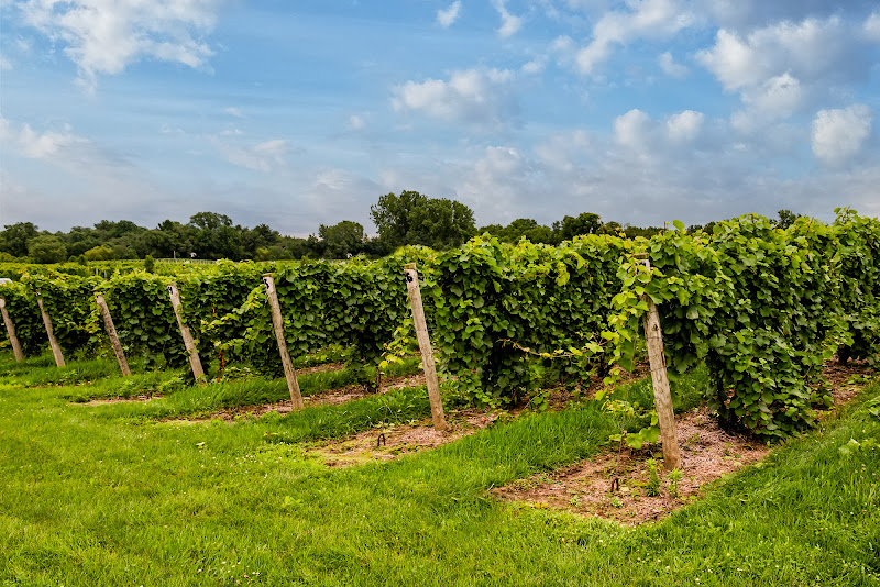 Gravity Tasting Room - Winery in South Haven