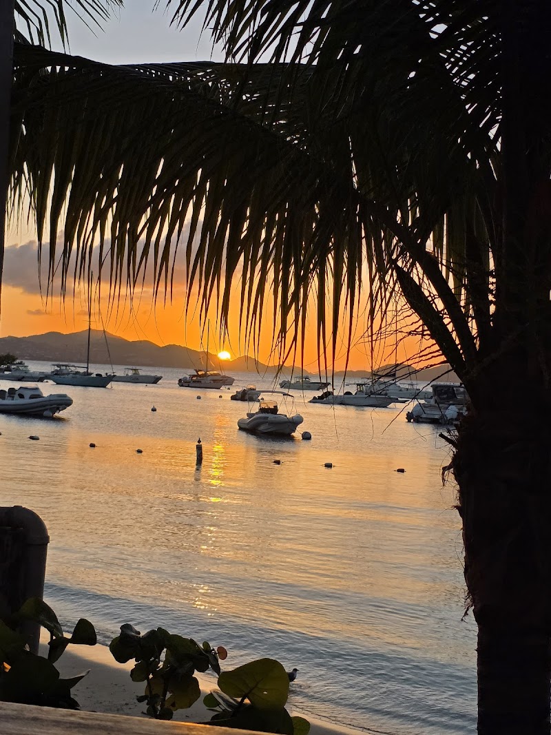 Cruz Bay Landing photo
