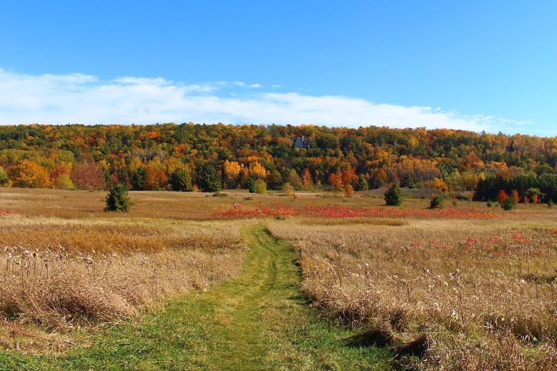 Bayshore Blufflands State Natural Area - Tourist attraction in Sturgeon Bay