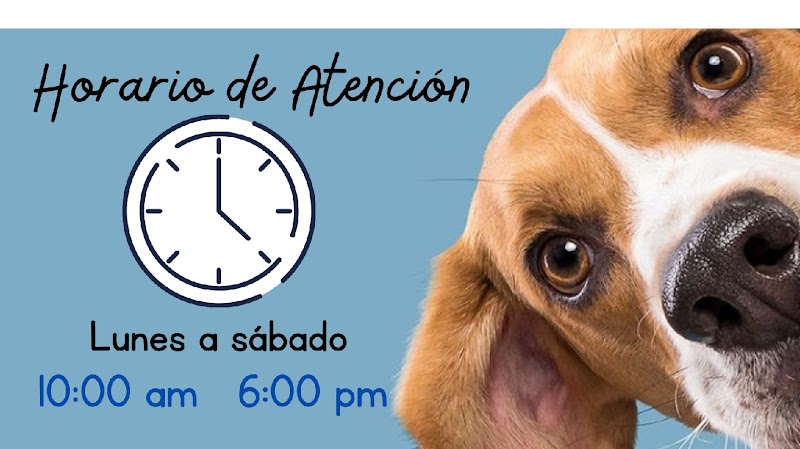 Veterinaria Dr.García - Veterinarian in Centro