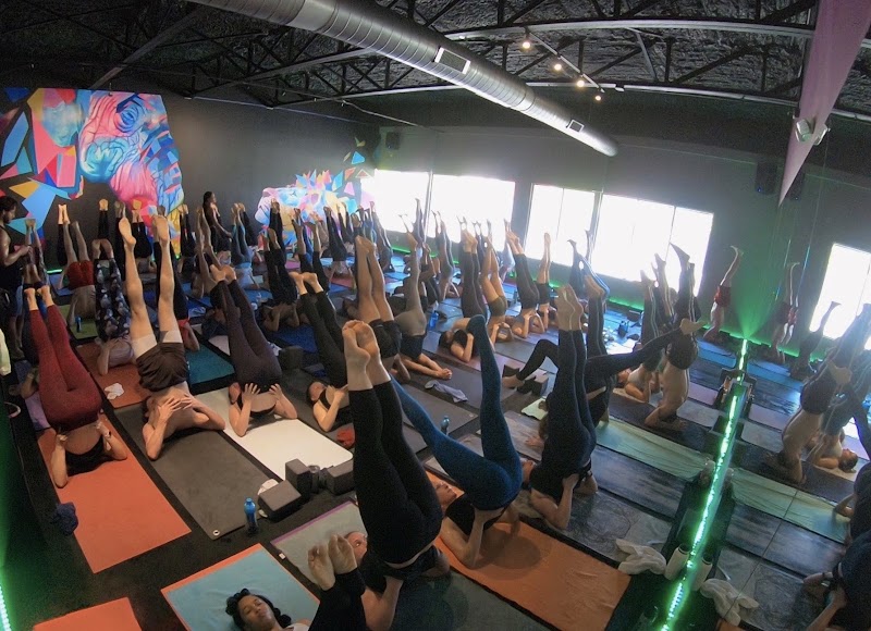 Black Swan Yoga - Lovers - Yoga studio in Dallas