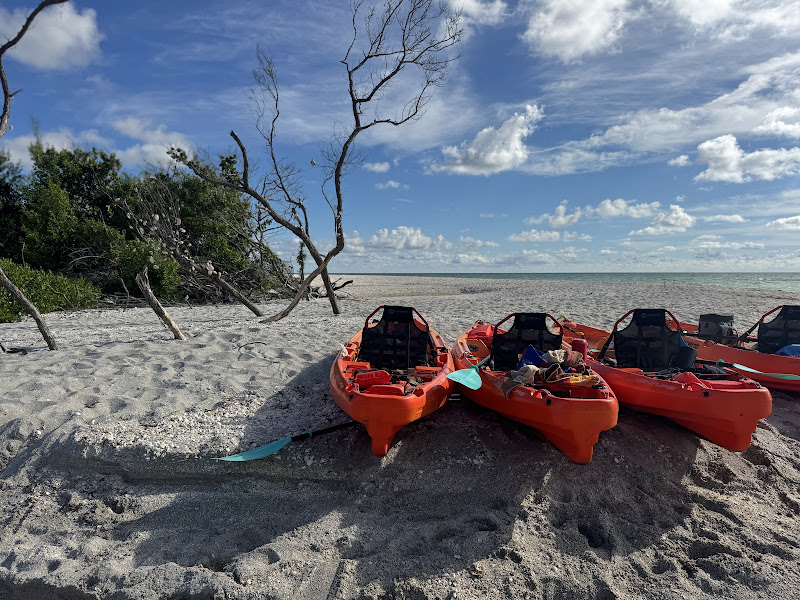 Murphs Surf - Siesta Key