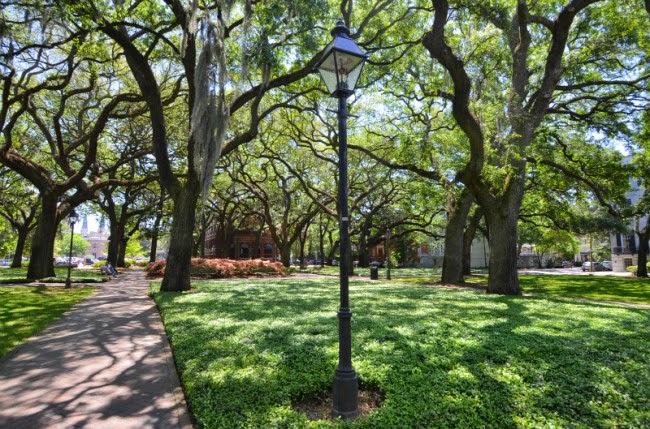 Stay Savannah Vacation Rentals - "Pulaski Square Retreat"