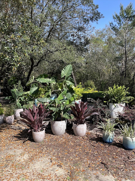 BlueGreen Landscape Development - Landscaper in Santa Rosa Beach