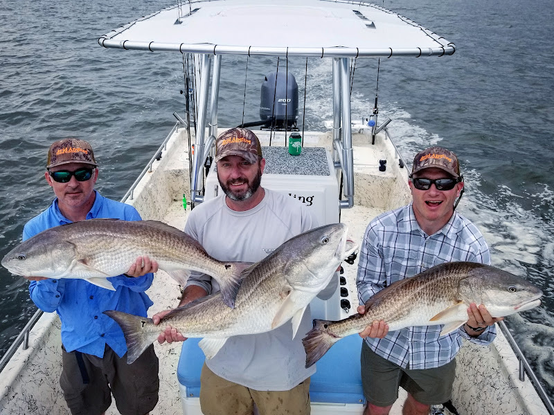 Avid Angling Fishing Charters - Fishing charter in Charleston