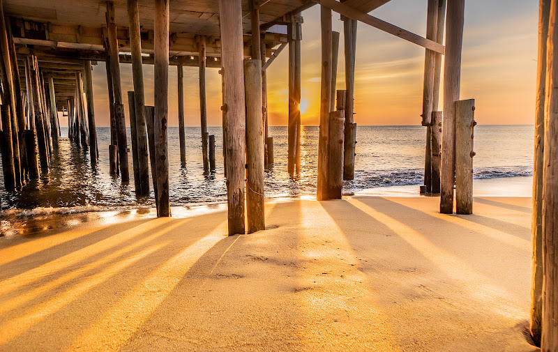 Ariadna Vucinovic Photography, LLC