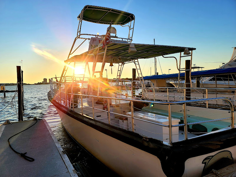 Chase-N-Fins / Aquatic Charters