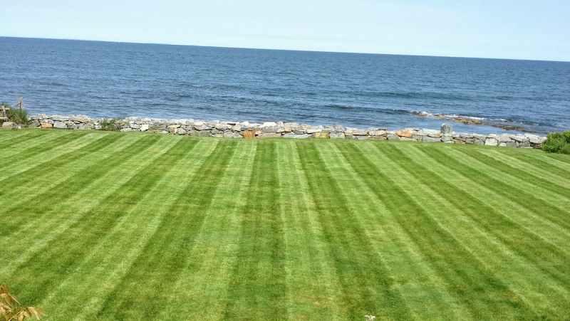 Pasquale’s Property Service