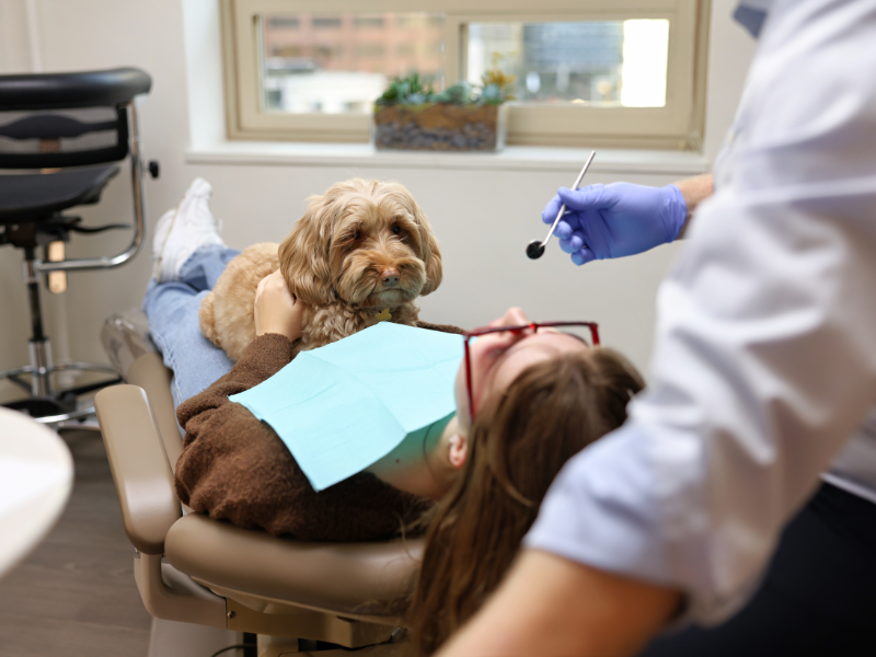 Seattle Dental Associates