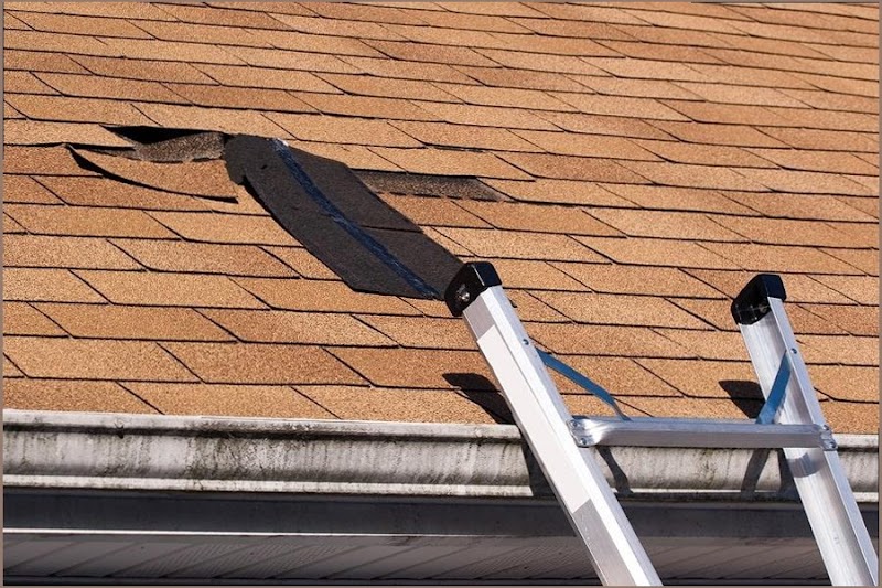 Hernandez & Sons Roof Repair photo