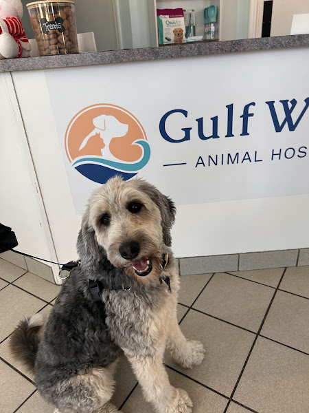 Gulf Winds Animal Hospital