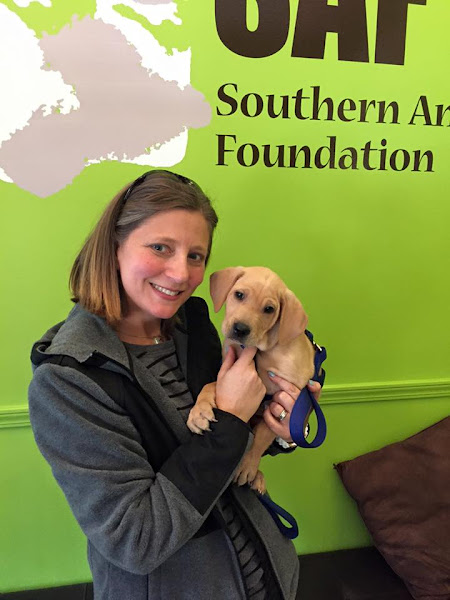 Southern Animal Foundation