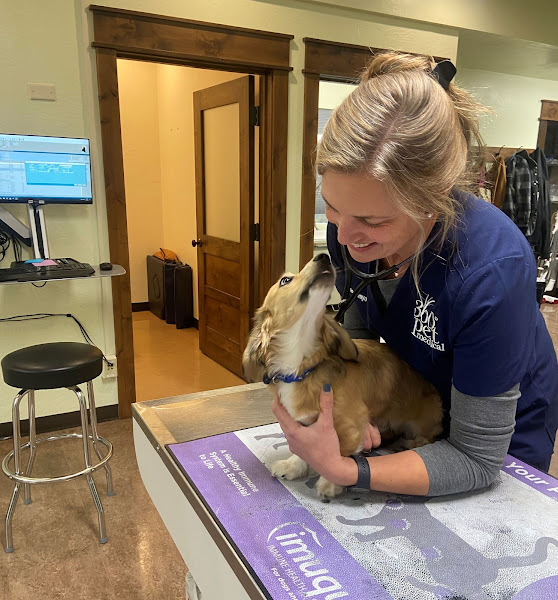 360 Pet Medical