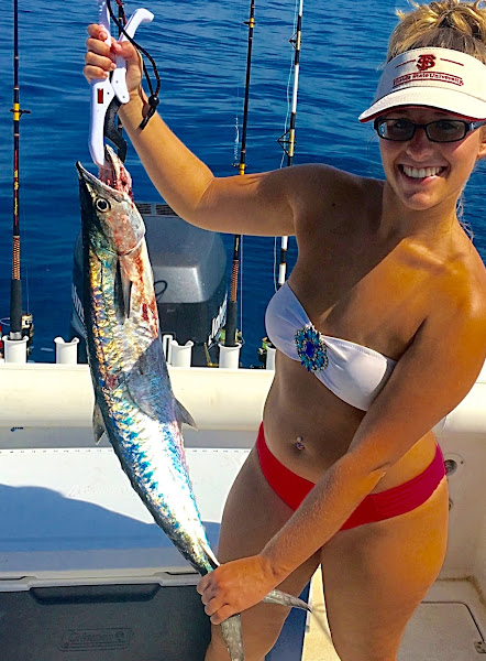 Captain Gregg Fishing Charters - Fishing charter in Sarasota