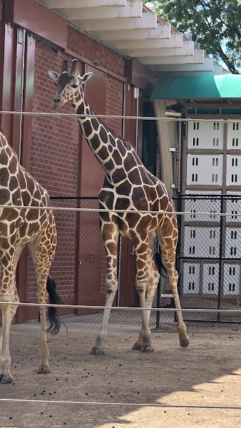 Denver Zoo