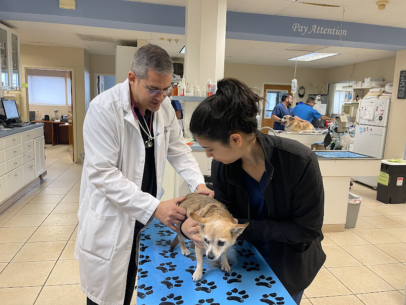 Family Pet Medical Center | 24/7 Animal Emergency & Wellness Care