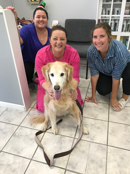 Keys Animal Care Center - Veterinarian in Key West