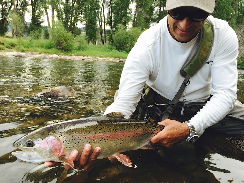 Freestone Anglers - Fishing charter in Steamboat Springs
