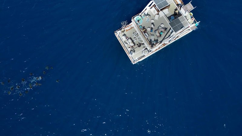 La Isla Tour Cabo | Catamaran Rental - Boat rental service in centro