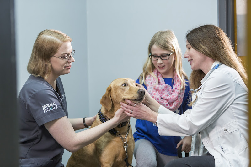 St. Johns Veterinary Hospital