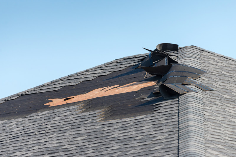 Charleston Roofs + Windows - Roofing contractor in North Charleston