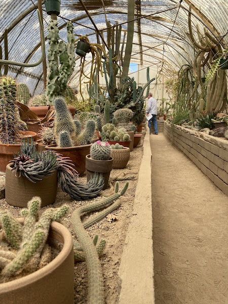 Moorten Botanical Garden - Tourist attraction in Palm Springs