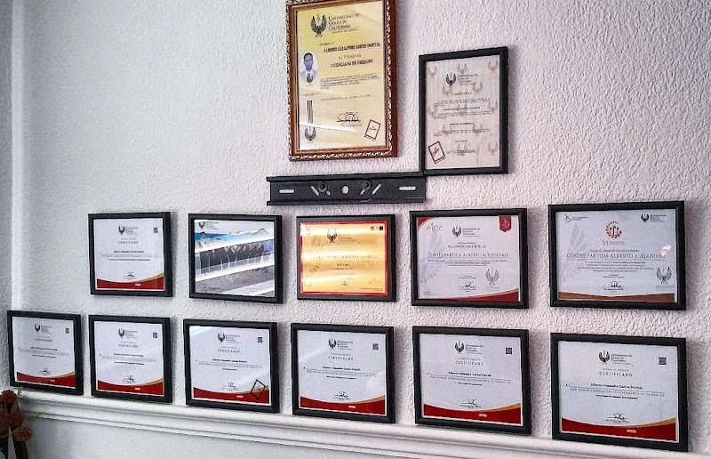 Licenciado en derecho Alberto Cortes Ced. Prof. 14961985 - Attorney in Arcos del Sol II