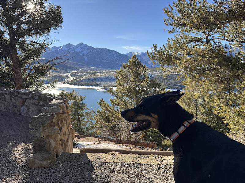 Farmers Korner Veterinary Hospital - Veterinarian in Breckenridge