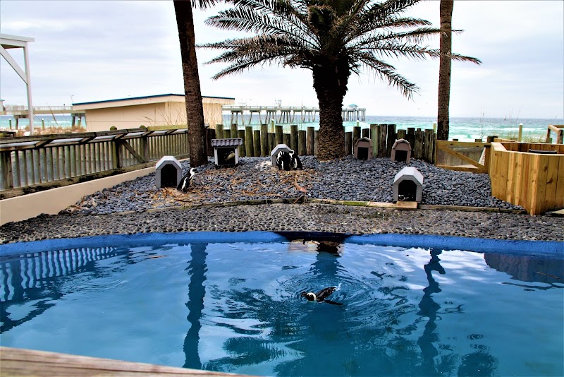 Surf Dweller Condominiums by Southern Vacation Rentals photo
