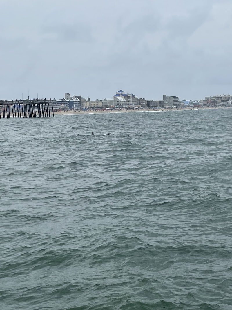OC Rocket Speedboat photo