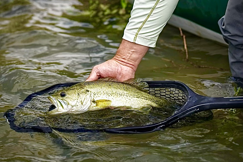 Rio Anglers - Fishing charter in New Braunfels