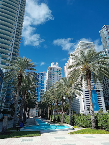 Mirador Brickell - Tourist attraction in Miami