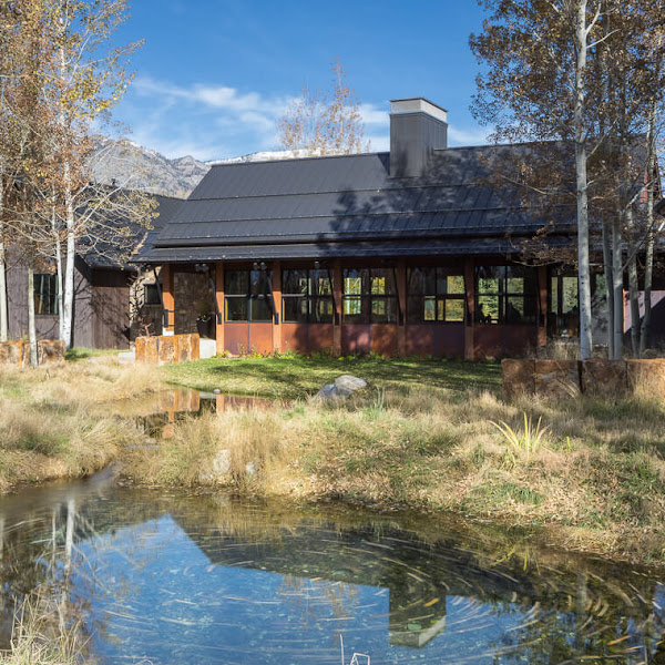 Tree & Landscape Company - Landscaper in Jackson